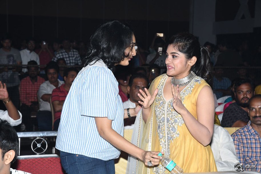 Ninnu-Kori-Movie-Pre-Release-Function